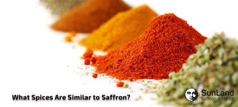 spice similar to saffron.